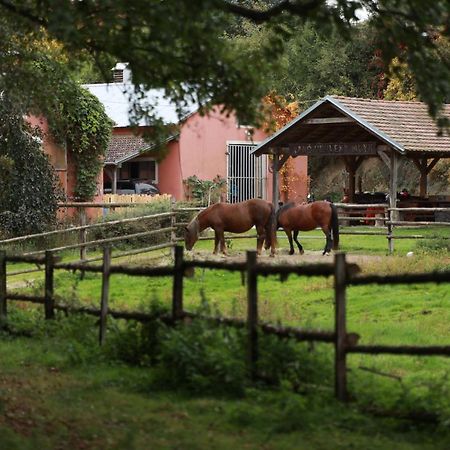 Lisov  Ranc Cerveny Mlynヴィラ エクステリア 写真
