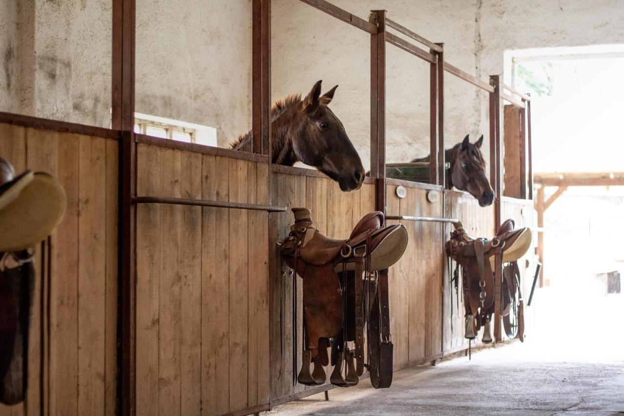 Lisov  Ranc Cerveny Mlynヴィラ エクステリア 写真