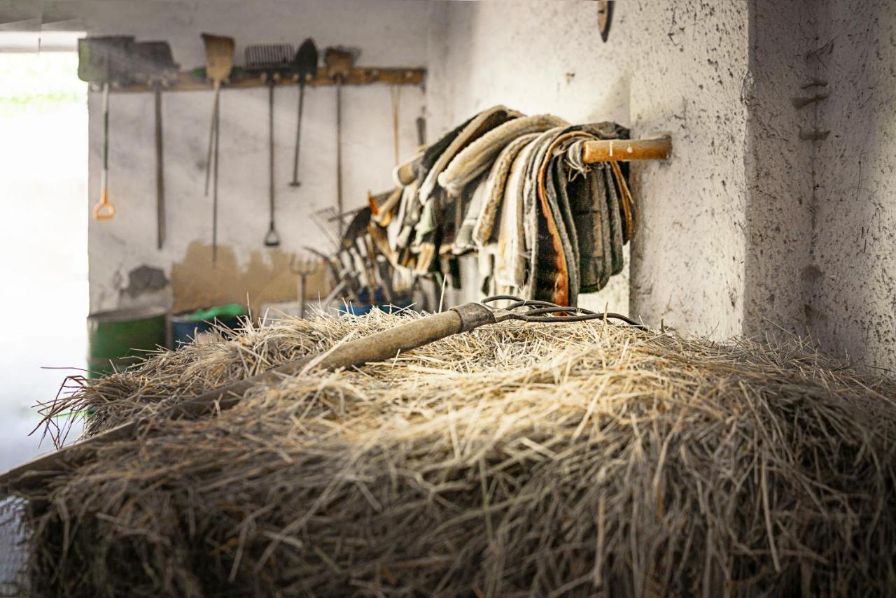 Lisov  Ranc Cerveny Mlynヴィラ エクステリア 写真
